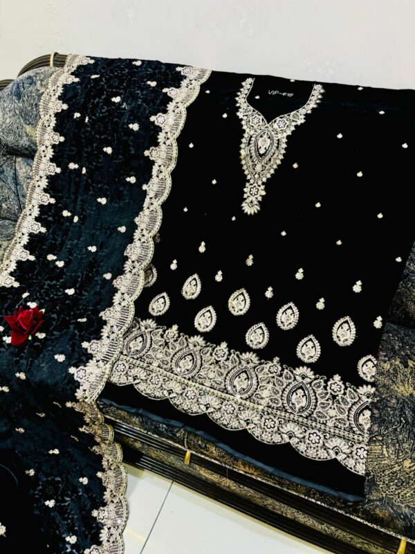 *Beautiful Velvet Embroidery