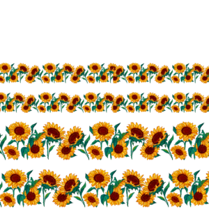 sunflower Border