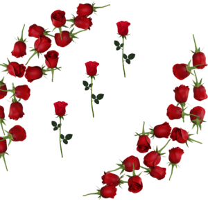 Red Rose corners with flowers