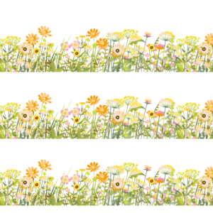 mix sunflower border