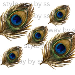 Peacock Feather set of 5