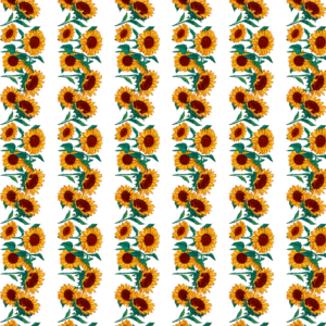 SunFlower Border